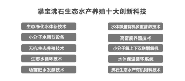 攀宝沸石生态水产养殖十大创新科技